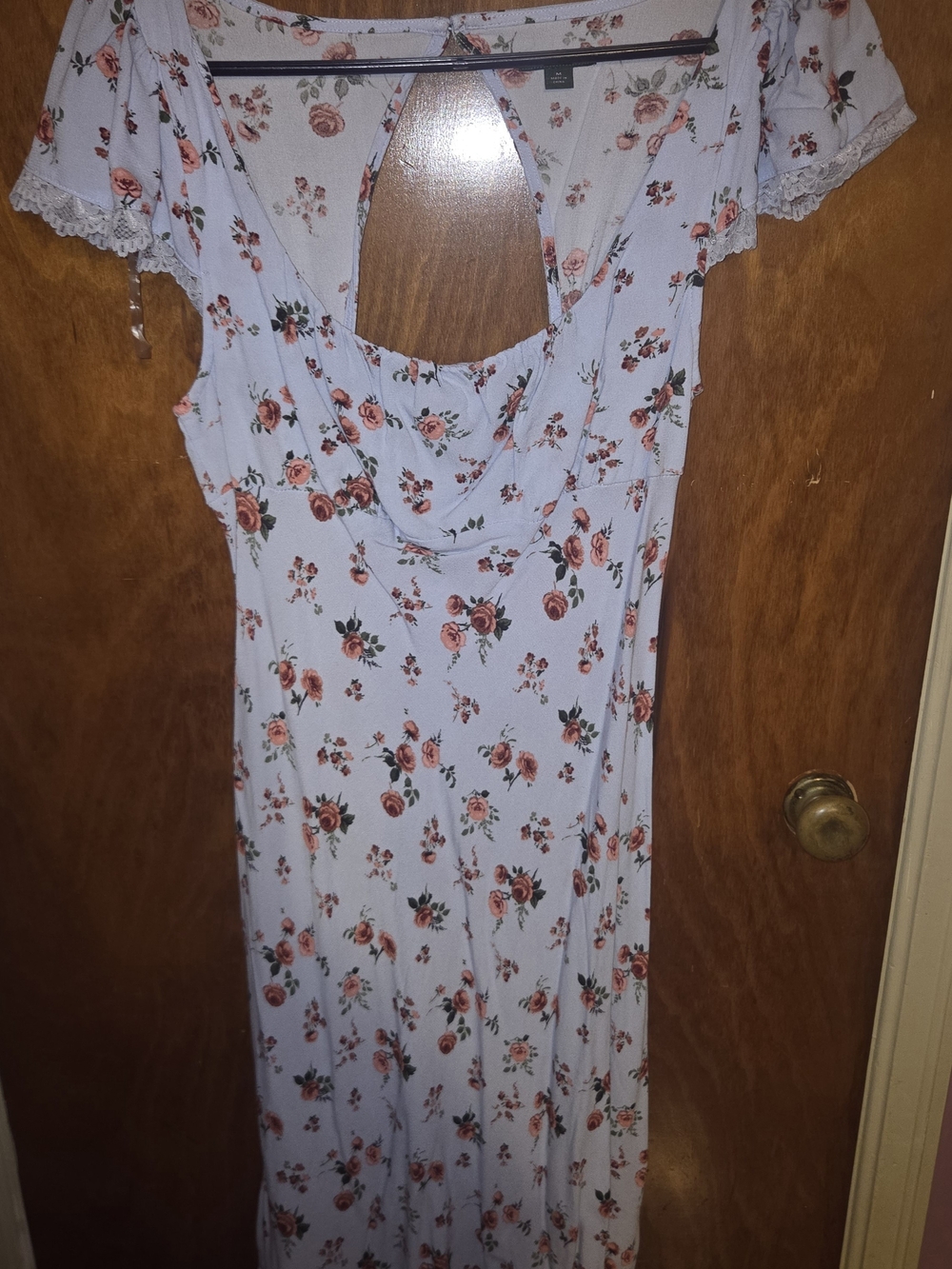 wild fable Light Blue Maxi Dress with Pink Floral Print